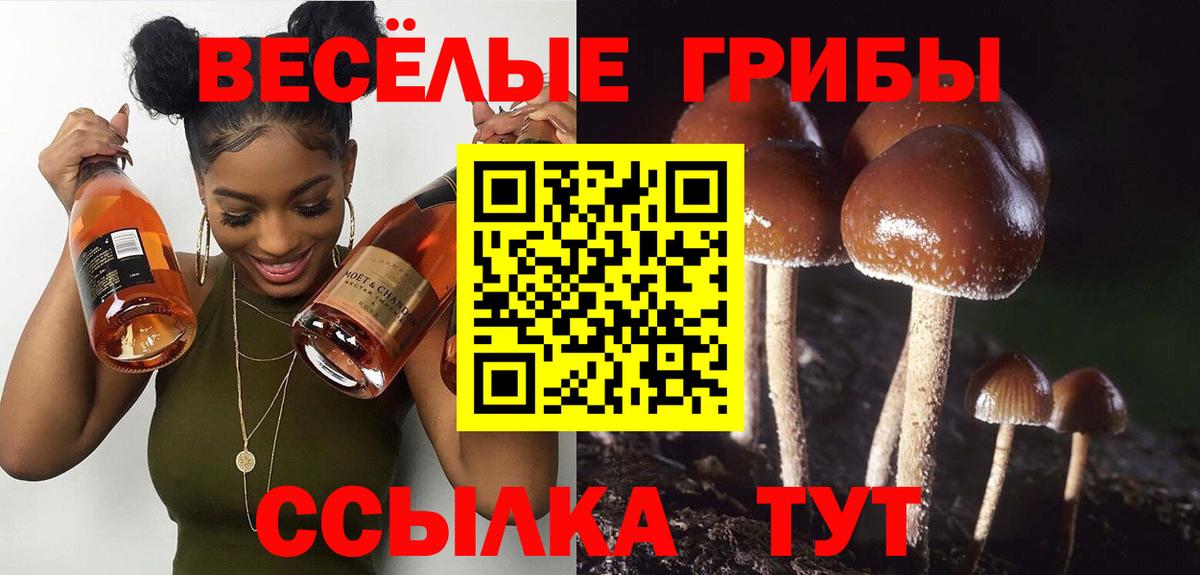 Псилоцибиновые грибы Psilocybine cubensis  Вход с VPN  Строитель  Псилоцибиновые грибы MAGIC MUSHROOMS 